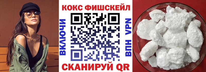 Купить закладки  Петушки  COCAIN Эквадор 