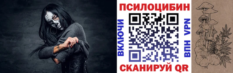 Купить  Петушки  Галлюциногенные грибы Psilocybine cubensis 